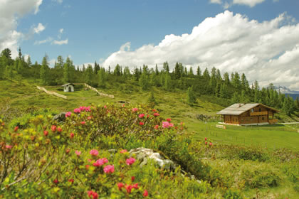 Fageralmhütte im Sommer