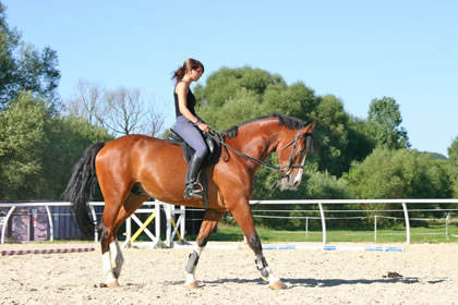 Reiten